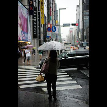 Does anyone also need to choose a chauffeur?  - Car rental